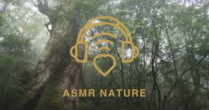 ASMR Nature Generator