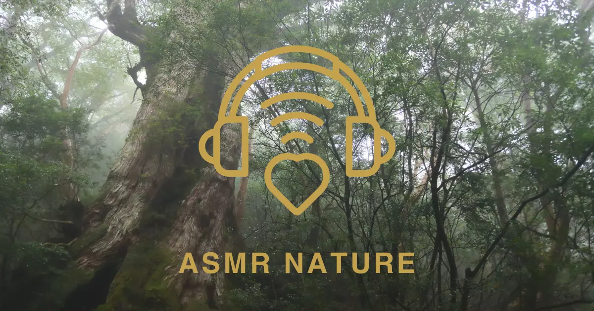 ASMR Nature Generator